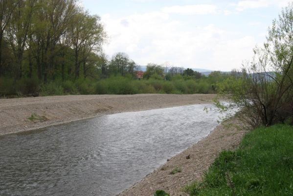 Šarišské Michaľany, 21.4.2014
Zregulovaný tok Torysy u Ostrovan.


Mots-clés: Šarišské Michaľany řeka Torysa