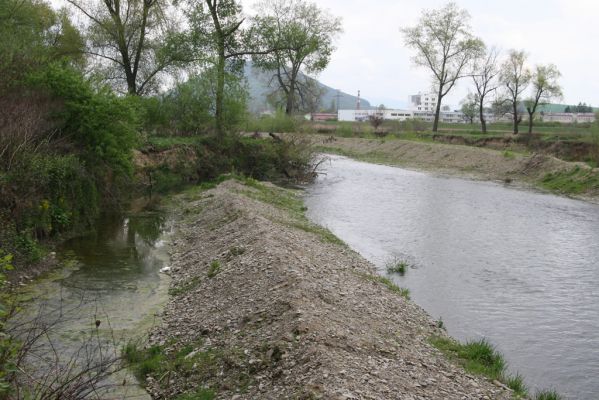 Šarišské Michaľany, 21.4.2014
Zregulovaný tok Torysy u Ostrovan.



Schlüsselwörter: Šarišské Michaľany řeka Torysa