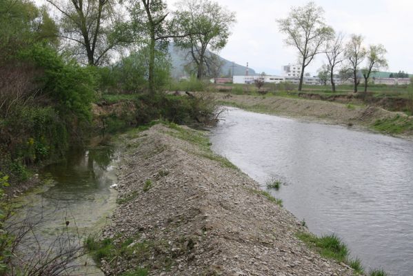 Šarišské Michaľany, 21.4.2014
Zregulovaný tok Torysy u Ostrovan.



Mots-clés: Šarišské Michaľany řeka Torysa