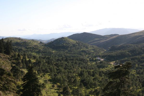 Ronda, Sierra de las Nieves, 7.5.2011 
Pohled z hor na Los Queigales.
Klíčová slova: Málaga Ronda Sierra de las Nieves