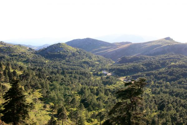 Ronda, Sierra de las Nieves, 7.5.2011
Pohled z hor na Los Queigales. 
Mots-clés: Málaga Ronda Sierra de las Nieves