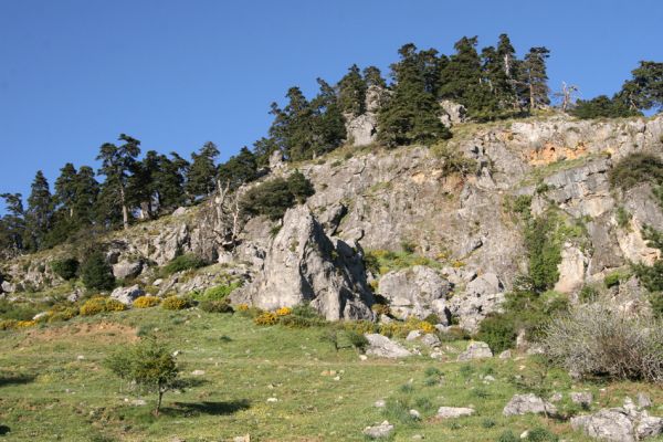 Ronda, Sierra de las Nieves, 7.5.2011
Pastvina pod hlavním hřebenem.
Keywords: Málaga Ronda Sierra de las Nieves