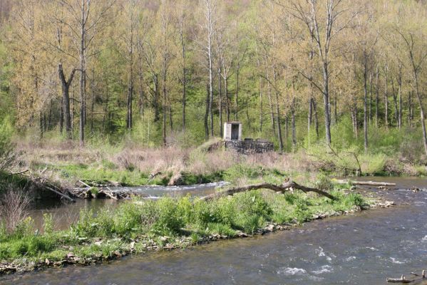 Sabinov, 21.4.2014
Meandry Torysy.

Klíčová slova: Sabinov řeka Torysa