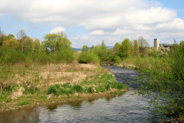 Sabinov, 21.4.2014
Meandry Torysy.



Klíčová slova: Sabinov řeka Torysa
