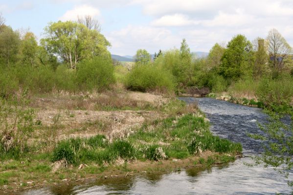 Sabinov, 21.4.2014
Meandry Torysy.



Klíčová slova: Sabinov řeka Torysa