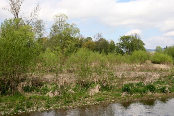 Sabinov, 21.4.2014
Meandry Torysy.



Klíčová slova: Sabinov řeka Torysa