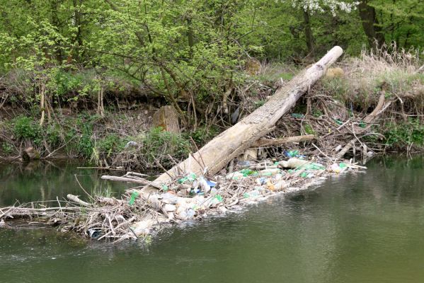 Sabinov, 21.4.2014
Meandry Torysy - doba plastová.


Klíčová slova: Sabinov řeka Torysa