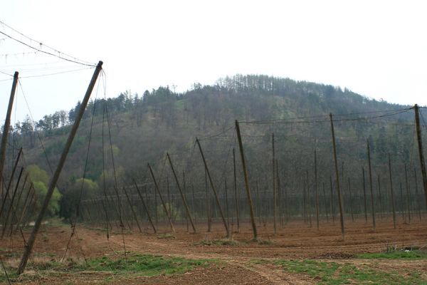 Deštnice - Sádek, Sádecký vrch, 11.4.2007
Pohled přes chmelnice na Sádecký vrch.
Keywords: Deštnice Sádek Sádecký vrch