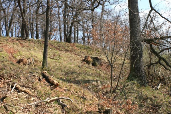 Deštnice - Sádek, Sádecký vrch, 11.4.2007
Výběrová těžba dřeva na okraji Sádeckého vrchu.
Klíčová slova: Deštnice Sádek Sádecký vrch