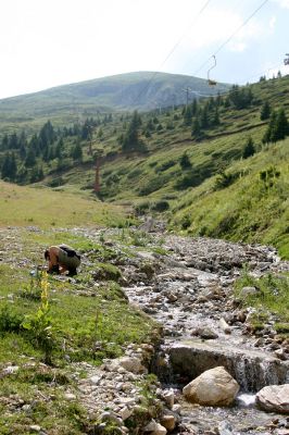 Šar planina, 7.7.2009
Štěrkové břehy potůčku v lyžařském středisku Popova Šapka. Biotop kovaříka Zorochros dermestoides.
Schlüsselwörter: Šar planina Popova Šapka Zorochros dermestoides