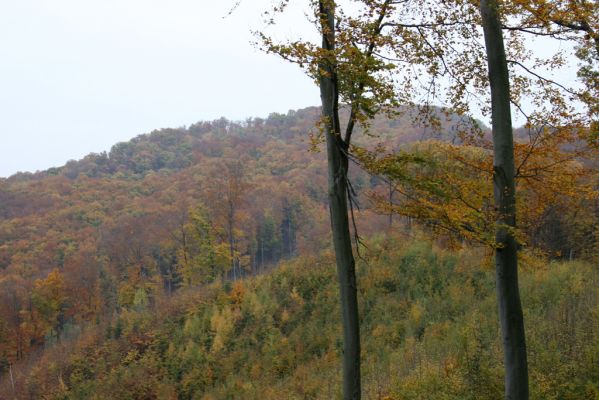 Šášovské Podhradie, 29.10.2011
Štiavnické vrchy - Blanočný vrch. Pohled na vrch Suť.
Keywords: Žiar nad Hronom Šášovské Podhradie Blanočný vrch