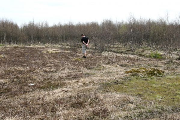 Hora Svatého Šebestiána, 29.4.2012
Rašeliniště - biotop střevlíka Carabus nitens.
Klíčová slova: Krušné hory Hora Svatého Šebestiána Carabus nitens Dušánek