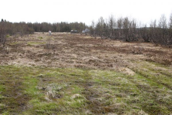 Hora Svatého Šebestiána, 29.4.2012
Rašeliniště -biotop střevlíka Carabus nitens.
Schlüsselwörter: Krušné hory Hora Svatého Šebestiána Carabus nitens