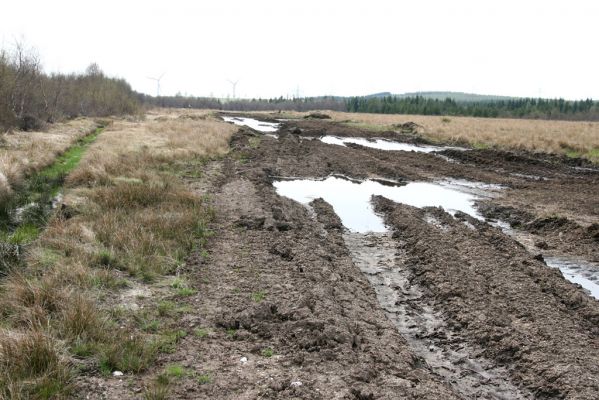 Hora Svatého Šebestiána, 29.4.2012
Rašeliniště.
Klíčová slova: Krušné hory Hora Svatého Šebestiána