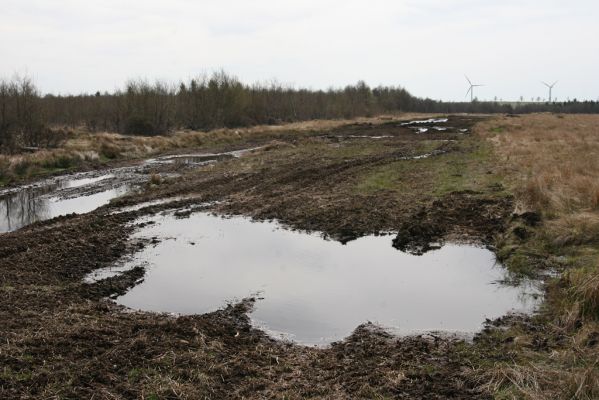 Hora Svatého Šebestiána, 29.4.2012
Rašeliniště.
Klíčová slova: Krušné hory Hora Svatého Šebestiána