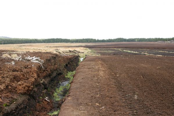 Hora Svatého Šebestiána, 29.4.2012
Těžba rašeliny.
Mots-clés: Krušné hory Hora Svatého Šebestiána