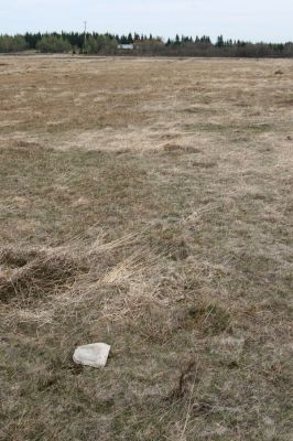 Hora Svatého Šebestiána, 29.4.2012
Rašeliniště - biotop střevlíka Carabus nitens. Pod kamenem je ukryta zemní past.
Klíčová slova: Krušné hory Hora Svatého Šebestiána Carabus nitens