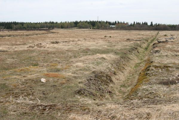 Hora Svatého Šebestiána, 29.4.2012
Rašeliniště - odvodňovací kanál. Biotop kovaříků Ctenicera cuprea a Orithales serraticornis.
Klíčová slova: Krušné hory Hora Svatého Šebestiána Ctenicera cuprea Orithales serraticornis