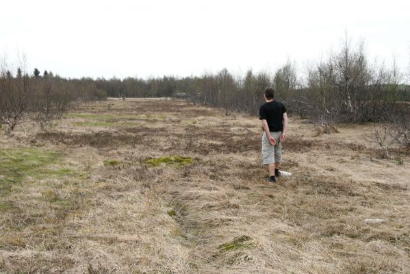 Hora Svatého Šebestiána, 29.4.2012
Rašeliniště - biotop střevlíka Carabus nitens.
Klíčová slova: Krušné hory Hora Svatého Šebestiána Carabus nitens Dušánek