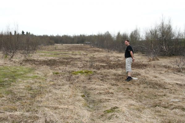 Hora Svatého Šebestiána, 29.4.2012
Rašeliniště - biotop střevlíka Carabus nitens.
Klíčová slova: Krušné hory Hora Svatého Šebestiána Carabus nitens Dušánek