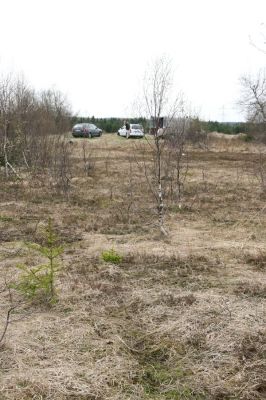 Hora Svatého Šebestiána, 29.4.2012
Rašeliniště - biotop střevlíka Carabus nitens. 
Klíčová slova: Krušné hory Hora Svatého Šebestiána Carabus nitens