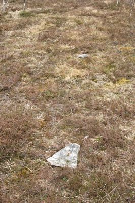 Hora Svatého Šebestiána, 29.4.2012
Rašeliniště - biotop střevlíka Carabus nitens. Pod kamenem je ukryta zemní past.
Klíčová slova: Krušné hory Hora Svatého Šebestiána Carabus nitens