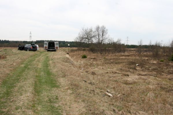 Hora Svatého Šebestiána, 29.4.2012
Cesta přes rašeliniště u biotopu střevlíka Carabus nitens. 
Klíčová slova: Krušné hory Hora Svatého Šebestiána Carabus nitens