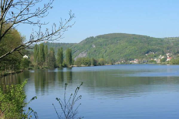 Ústí nad Labem, Sebuzín, 22.4.2007
Labe u Sebuzína. Pohled na Dolní Zálezly.
Klíčová slova: Ústí nad Labem Sebuzín Labe České středohoří