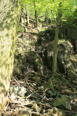 Ústí nad Labem, Střekov, 22.4.2007
Průčelská rokle, suťový les pod Výřími skalami. Pod Průčelským vodopádem.
Keywords: Ústí nad Labem Střekov České středohoří Průčelská rokle