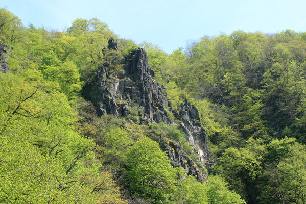Ústí nad Labem, Střekov, 22.4.2007
Výří skály.
Klíčová slova: Ústí nad Labem Střekov České středohoří Průčelská rokle