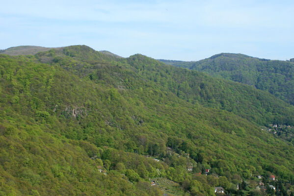 Ústí nad Labem, Střekov, 22.4.2007
Pohled ze Slineční stráně na Malý Ostrý a Modřín.
Keywords: Ústí nad Labem Střekov České středohoří