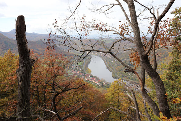 Sebuzín, 25.10.2022
Vrch Lenoch, Poradní skála. Pohled na Labe u Sebuzína.
Schlüsselwörter: Ústí nad Labem Sebuzín České středohoří vrch Lenoch Poradní skála