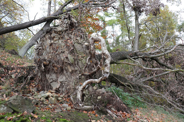 Sebuzín, 25.10.2022
Vrch Lenoch.
Schlüsselwörter: Ústí nad Labem Sebuzín České středohoří vrch Lenoch