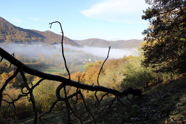 Sebuzín, 25.10.2022
Vrch Lenoch, les pod Havraní skálou.
Klíčová slova: Ústí nad Labem Sebuzín České středohoří vrch Lenoch Havraní skála