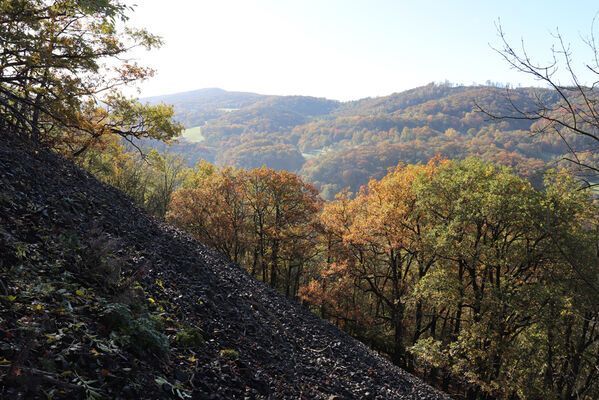 Sebuzín, 25.10.2022
Vrch Lenoch, Havraní skála. Pohled na údolí Tlučenského potoka.
Mots-clés: Ústí nad Labem Sebuzín České středohoří vrch Lenoch Havraní skála