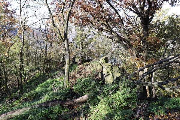 Sebuzín, 25.10.2022
Vrch Lenoch, skalnatý hřbet u Havraní skály.
Klíčová slova: Ústí nad Labem Sebuzín České středohoří vrch Lenoch Havraní skála