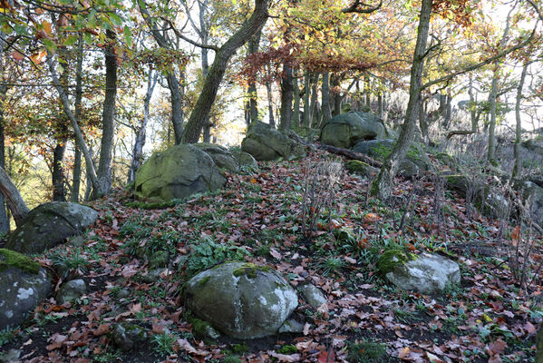 Sebuzín, 25.10.2022
Vrch Lenoch, zalesněný hřbet u Havraní skály.
Klíčová slova: Ústí nad Labem Sebuzín České středohoří vrch Lenoch Havraní skála