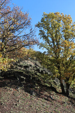 Sebuzín, 25.10.2022
Vrch Lenoch, hřbet nad Havraní skálou.
Keywords: Ústí nad Labem Sebuzín České středohoří vrch Lenoch Havraní skála