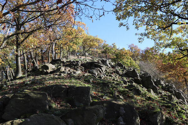 Sebuzín, 25.10.2022
Vrch Lenoch, hřbet nad Havraní skálou.
Keywords: Ústí nad Labem Sebuzín České středohoří vrch Lenoch Havraní skála