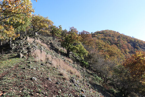 Sebuzín, 25.10.2022
Vrch Lenoch, hřbet nad Havraní skálou.
Klíčová slova: Ústí nad Labem Sebuzín České středohoří vrch Lenoch Havraní skála