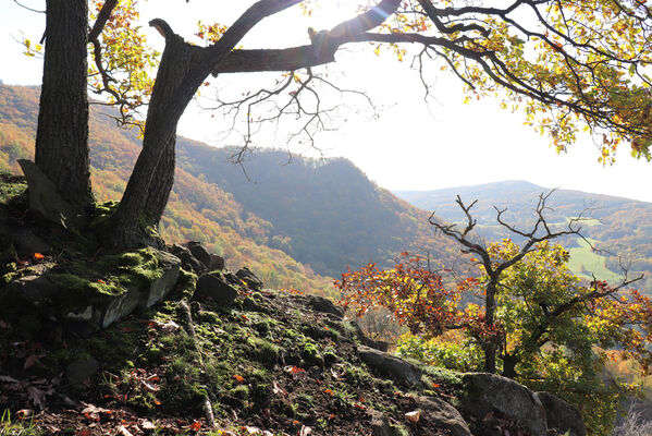 Sebuzín, 25.10.2022
Vrch Lenoch, hřbet nad Havraní skálou. Pohled na Krkavčí skálu.
Klíčová slova: Ústí nad Labem Sebuzín České středohoří vrch Lenoch Havraní Krkavčí skála