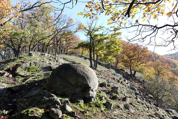 Sebuzín, 25.10.2022
Vrch Lenoch, hřbet nad Havraní skálou.
Klíčová slova: Ústí nad Labem Sebuzín České středohoří vrch Lenoch Havraní skála