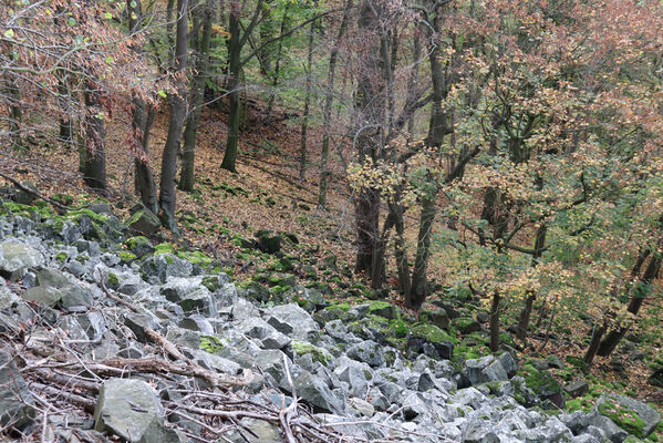 Sebuzín, 25.10.2022
Vrch Lenoch. Suťové pole pod Poradní skálou.
Keywords: Ústí nad Labem Sebuzín České středohoří vrch Lenoch Poradní skála