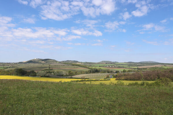 Sedlec, 9.5.2023
Liščí vrch. Pohled na Pavlovské vrchy.
Keywords: Sedlec Liščí vrch Pavlovské vrchy