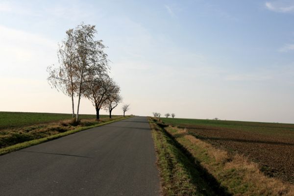 Sedlice, 5.11.2008
Třešňová alej na vrchu Vrchy u silnice na Hubenice. Biotop krasce Anthaxia candens.
Schlüsselwörter: Sedlice Hubenice Anthaxia candens třešeň