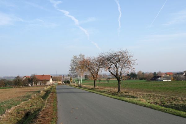 Sedlice, 5.11.2008
Třešňová alej u obce Sedlice u silnice z Hubenice. Biotop krasce Anthaxia candens.
Klíčová slova: Sedlice Anthaxia candens třešeň