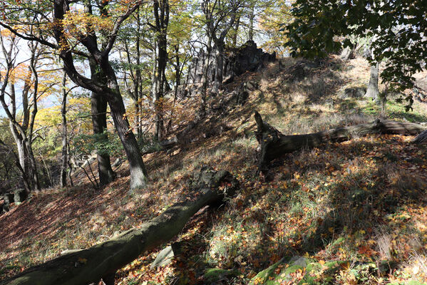 Liběšice, 17.10.2022
Vrch Sedlo, severní hřbet.
Klíčová slova: České Středohoří Liběšice vrch Velké Sedlo