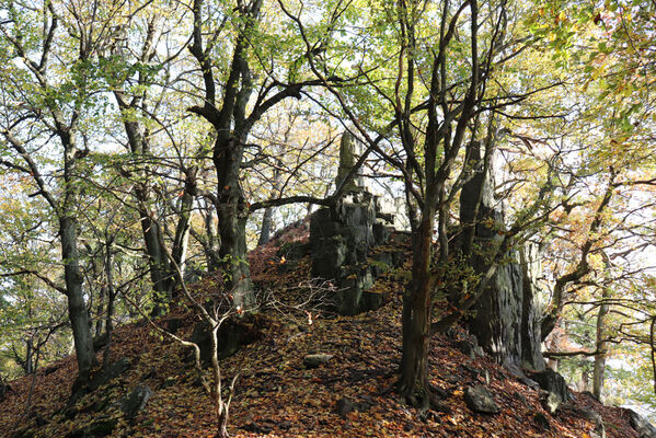 Liběšice, 17.10.2022
Východní hřbet vrchu Sedlo.
Keywords: České Středohoří Liběšice vrch Velké Sedlo