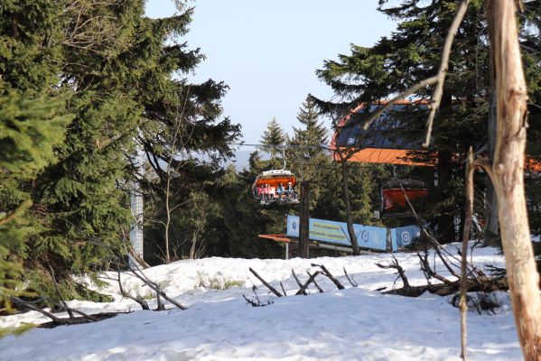 Sedloňov, 25.2.2021
Vrch Šerlich - Skyway Express Nartorama ze střediska Zieleniec.   
Klíčová slova: Orlické hory Sedloňov vrch Šerlich