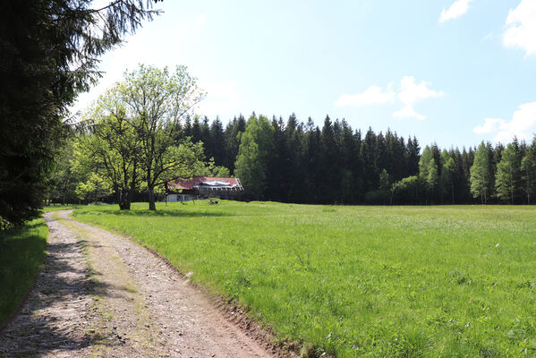 Orlické Záhoří, Trčkov, 8.6.2021
Trčkovská louka s chátrajícím domem Josefa Mertlíka.
Schlüsselwörter: Orlické Záhoří Trčkov Trčkovská louka Aplotarsus incanus